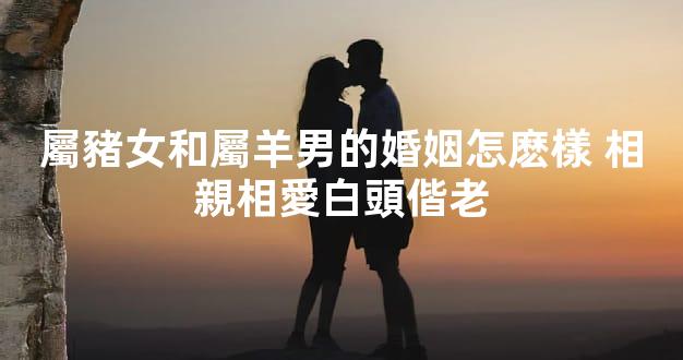 屬豬女和屬羊男的婚姻怎麽樣 相親相愛白頭偕老